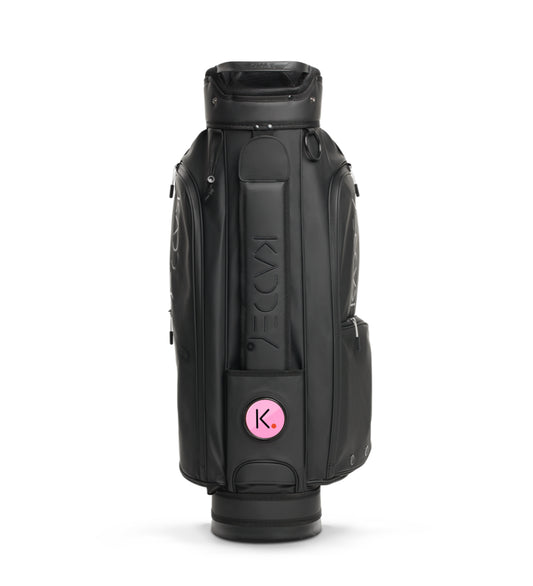 Switch Tasche